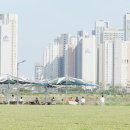 송도달빛축제공원 네이버블로그