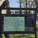 초록나무약국 | 초록 가득한 하루 🌿 화성 우리꽃식물원 산책 후기
