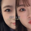 오목교역/속눈썹] 펌 vs LED연장 고민 종결! N년차 단골의 '드보라뷰티' 솔직 비교 (유지력/디자인/관리)👁️✨