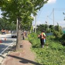 온양1동 시민로 이미지