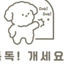 독독!개세요