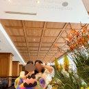 방화대로 | 메이필드호텔🏨여름 호캉스 ⭐️5성급호텔 /조식/수영장/🌳도심의 자연속에서 힐링