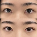경성대속눈썹펌 잘하는곳 보라보라뷰티, 노글루 케라틴뷰러펌 후기