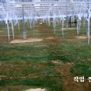 에덴농장 이미지