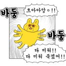 오뚜기야식 이미지