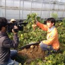 솔로몬농장 이미지