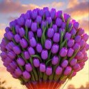 연한의원 이미지