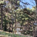 목포북교초등학교 오층석탑 | [국가유산] (보물) 강화 장정리 오층석탑