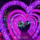 싱그러운청도로(봄) 이미지