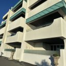 댕버랜드 펫택시 2호 | [여수] 아기+강아지와 함께한 독채 펜션 &#39;슈가브리움 풀빌라&#39;