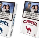 토토당구장 이미지