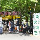 곡성-080 | 곡성 여행 , 노랑 물결 일렁이는 기차당 뚝방마켓 주말 나들이