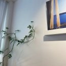 하이홉(hihope) 이미지