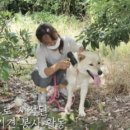 백여농장 이미지