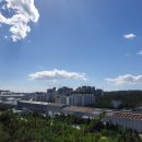 한국프렌지앞 이미지