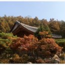 불곡리 미륵불 이미지