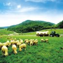 하늘목장 이미지