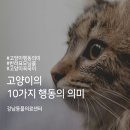 강남동물의료센터 이미지