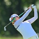 아이언피쉬 이미지