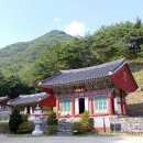 별헤는밤 캠핑장 이미지