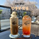 물안뜰 | 양산 벚꽃카페 TOP1｜양산데이트·양산디저트 다 되는 빅스톤커피