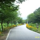 수룡폭포화장실 이미지