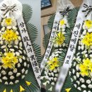 새천년 병원 이미지