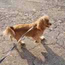 옥길아라동물의료센터 이미지