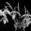 익산농협 하나로마트 평화점 이미지