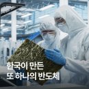 진도물산 | 바다에서 태어난 ‘검은 반도체’, 한국의 수출 효자템으로 성장하기까지