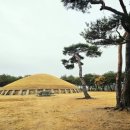 신문왕릉 화장실 이미지