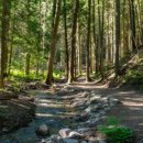 다우 농장 이미지