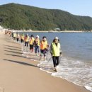 노르딕워킹 이미지