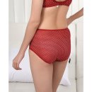 Y-0262 쇼핑하우