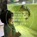 꼬기야놀자 | 남양주 아이랑 가볼만한곳 꼬기랑놀자 특별한체험에 가성비까지, 아이랑 방학때 가볼만한곳
