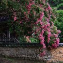 파산정(巴山亭) 이미지