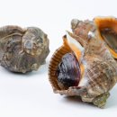 스토어소라 이미지