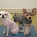 손수의과병원 이미지