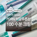 주식회사 네이처인 | 아누아 피디알엔 히알루론산 100 수분 크림 내돈내산 후기