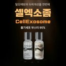 모앤영 신촌점 | 홍대두피클리닉 모앤영 신촌점 후기