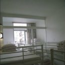 토마토 민박 이미지