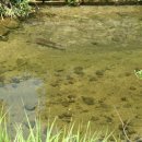 인사동 여자만 이미지