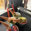 제주우