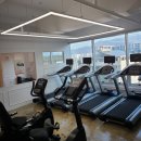 피티그램 이미지