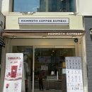매머드익스프레스선릉