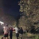 더큐브펜션 이미지