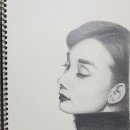 오드리햅번 - 남양주시 | 오드리햅번