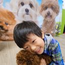 푸른스쿨어린이집 이미지