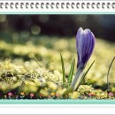 시정농장 이미지