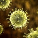 더감동의원 이미지